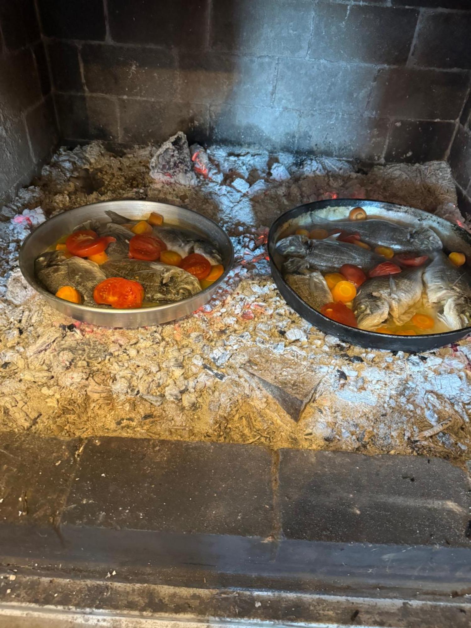 Qyteza Guest House & Camping Shkoder Bagian luar foto